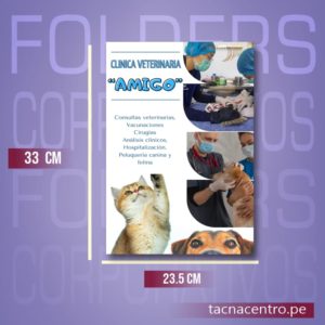 medidas de una carpeta corporativa impresion full color personalizadas venta por mayor tacna centro peru