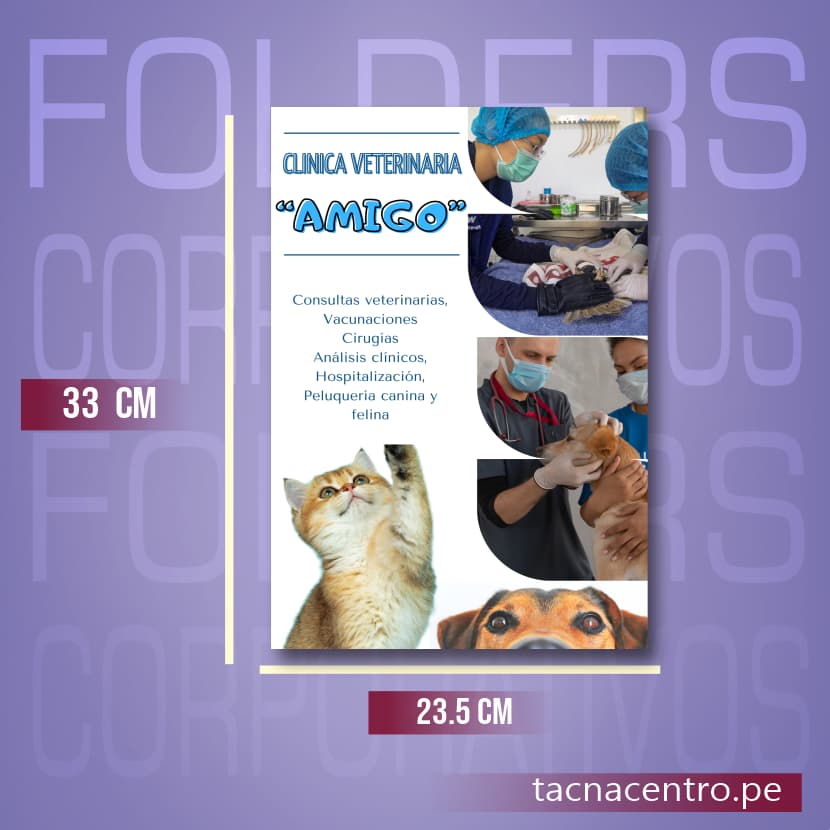 medidas de una carpeta corporativa impresion full color personalizadas venta por mayor tacna centro peru