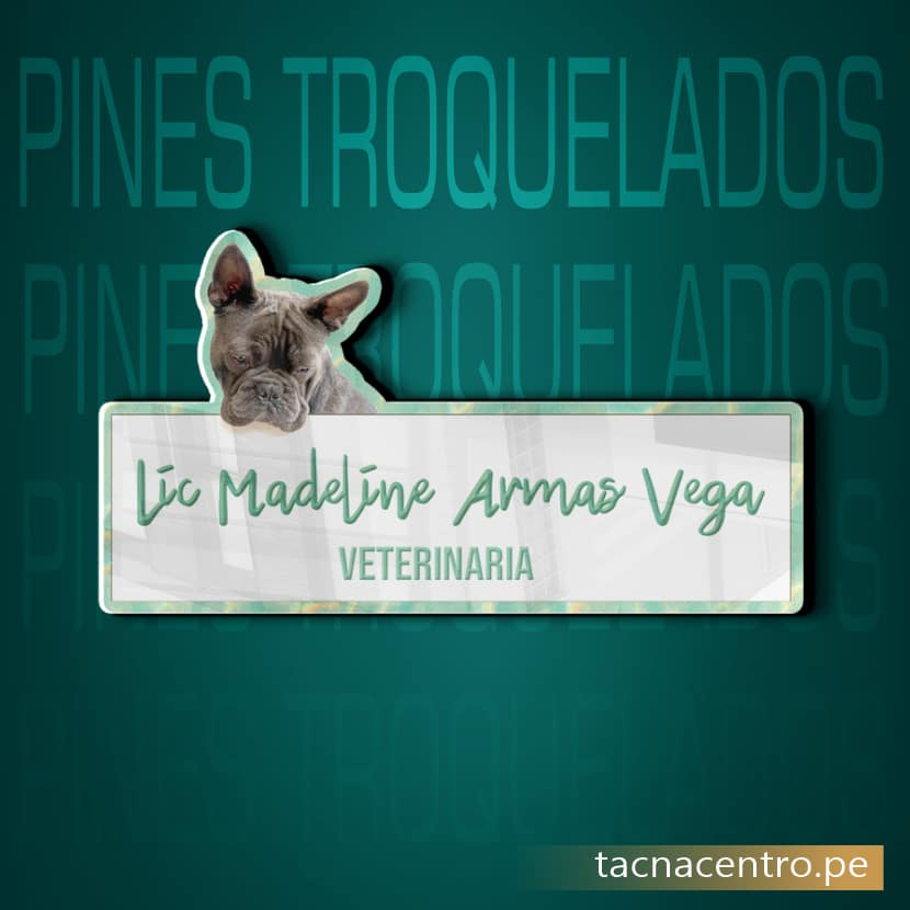 pin metalico troquelado con diseño sublimado para identificacion de personal tacna centro peru